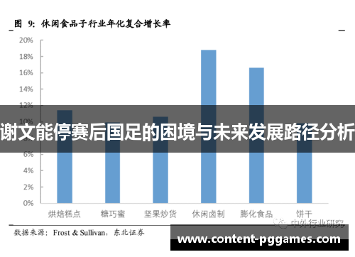 谢文能停赛后国足的困境与未来发展路径分析