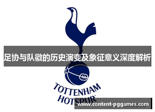 足协与队徽的历史演变及象征意义深度解析